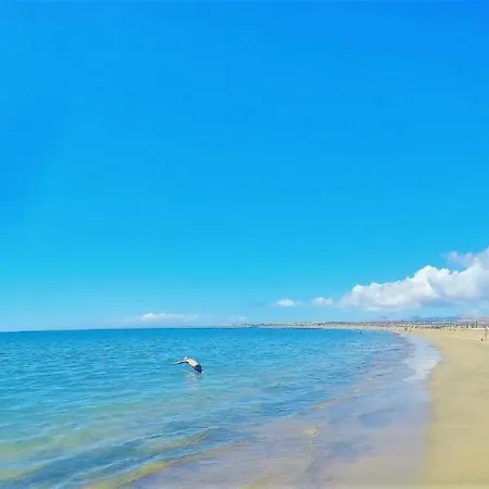 Paradise Near The Homestay Playa Honda (Lanzarote)